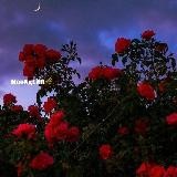 ꯭✷Mᴏᴏɴʟɪɢʜᴛ 🌙⸙ꠋꠋꠋꠋꠋꠋꠋꠋꠋꠋꠋꠋꠋꠋꠋꠋꠋꠋꠋꠋꠋꠋꠋꠋꠋꠋꠋꠋꠋꠋꠋꠋꠋꠋꠋꠋꠋꠋꠋꠋꠋ