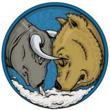 Forex & Cryptocurrency Brasil