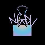 Я встретил NGDV