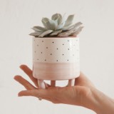 Dual ceramics