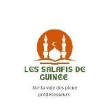 Les Salafis De Guinée