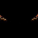 𝟏𝐱𝟕𝐗𝐱𝟏