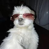 Пожарная Машина