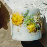 Ботанические свечи / Обучение / сушка цветов