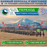 КъПереходВыставка2022🐎