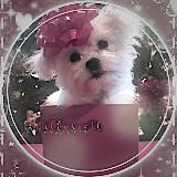 ˗ˏˋ𝒽ℯ𝓁𝓅 ’ясяш ✧₊୨