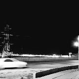 Луговые собачки