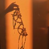 дай мне посмотреть