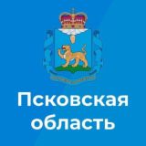 Официальный чат Псковской области