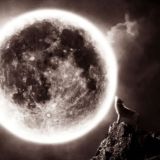 BloodMoon Era Wuffclub (Nebengruppe)