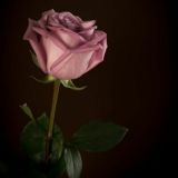 Музыка для души🖤