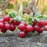 Будни Олега✨