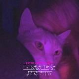 Lissie's jetty | Buying Adopt me | MM2