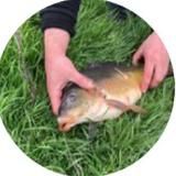 Третий пруд. Рыбалка - отдых пос. Нижнеподкумский 89188628759 89034411250