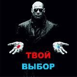 Твой выбор