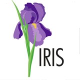 IRIS. Оптом. Wholesale
