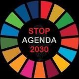 VERDADE DESMENTIRA INFORMAÇÃO