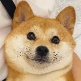 二狗福利站🈲特色福利