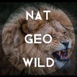 Nat Geo Wild