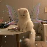 всесвіт Муносічки