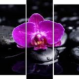 Модульные картины. Каталог