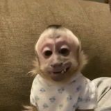 Фанклуб душевнобольных