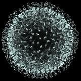 Редкий Кадр