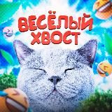Весёлый Хвост😹