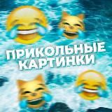 Прикольные картинки/видео