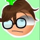 Каморка Гарри