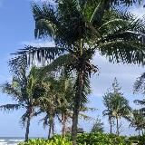 Crawltk English ✍️