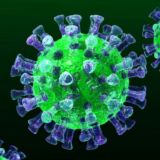 Коронавирус | Koronavirus