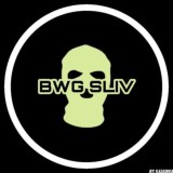 BWG SLIV