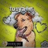 💐𝓓𝓿𝓸𝓻𝓽𝓸𝓼𝔂𝓪 🌤