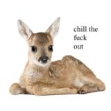 чат миньонов