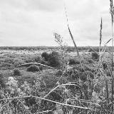 Шоколадно 🍌 🍩 ИНФА