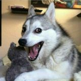 Приколище🌝😝(group)