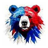 Специальная военная операция