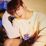 KIM WOOJIN | 김 우진 | STRAY KIDS
