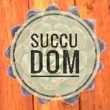 Загородная жизнь SuccuDOM