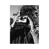 Книжная полынь.