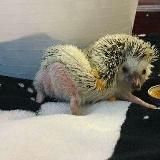 Твой Мёд ❤️