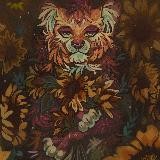 🍃✨~Племя воздушных перьев^^✨🍃