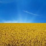 Крипта/Тємки $