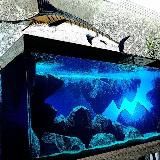 Аквадизайн🔥🔥🔥