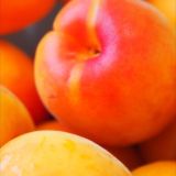 𝐻𝓎𝑔𝑔𝑒 🛋💛 Chat