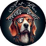 Арт-пространство "Одноглазый Бигль" | Тбилиси