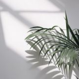 Natalia в заметках 💭