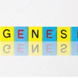 Genesis_Md(Чат)👍