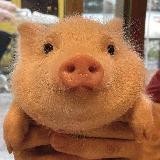 Склад моих картинок.